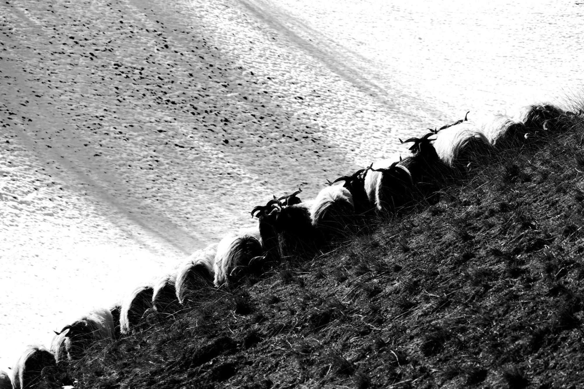 Eyhera Perkain Aldudes Esterno foto